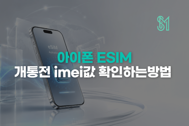 아이폰 eSIM 단말정보 입력 | 모델번호·EID·IMEI 확인방법