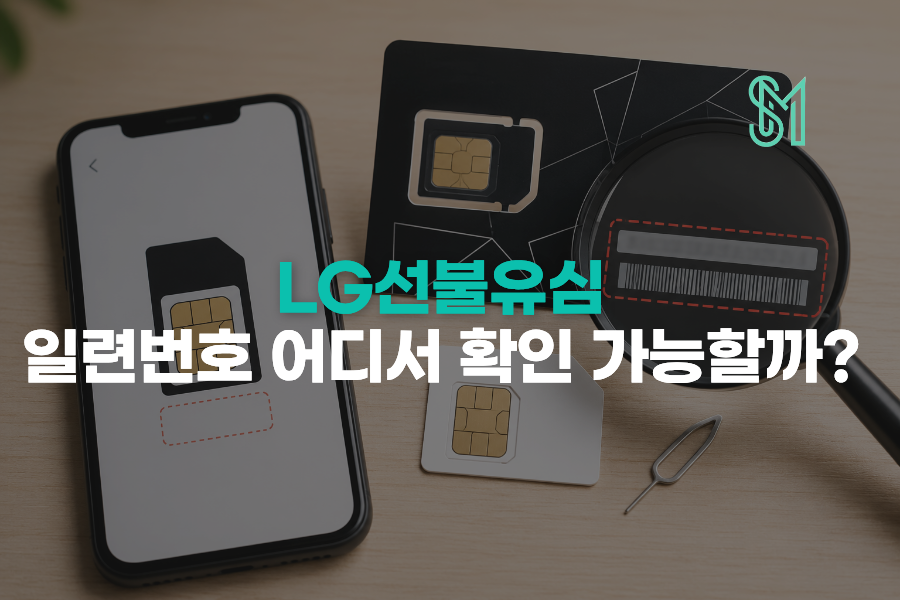 LG 유심 일련번호 어디서 보나요 원칩 선불폰 개통 입력 오류 줄이는 방법 안내